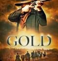 Gold 2013