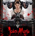 Hansel and Gretel: Witch Hunters (2013)