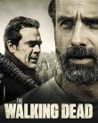 The Walking Dead (2010-)