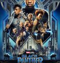 Black Panther (2018)