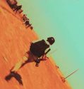 Hondros (2017)
