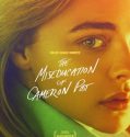 THE MISEDUCATION OF CAMERON POST (2018)
