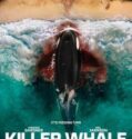 KILLER WHALE (2026) KILLER WHALE (2026)